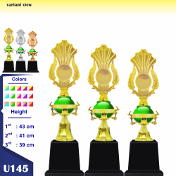 U145