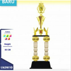 UKDM10