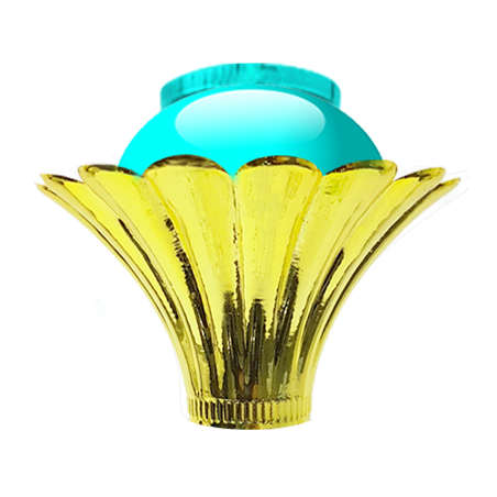 BD204