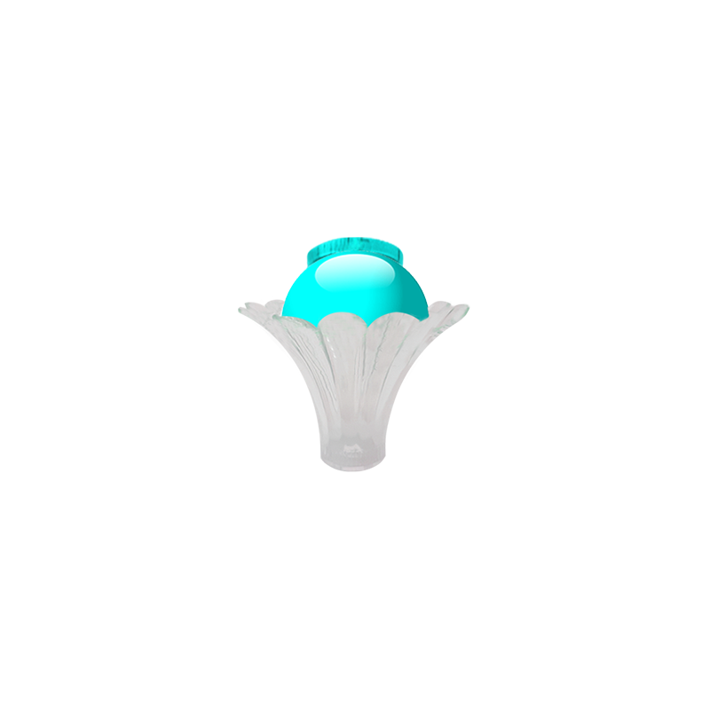 BD204