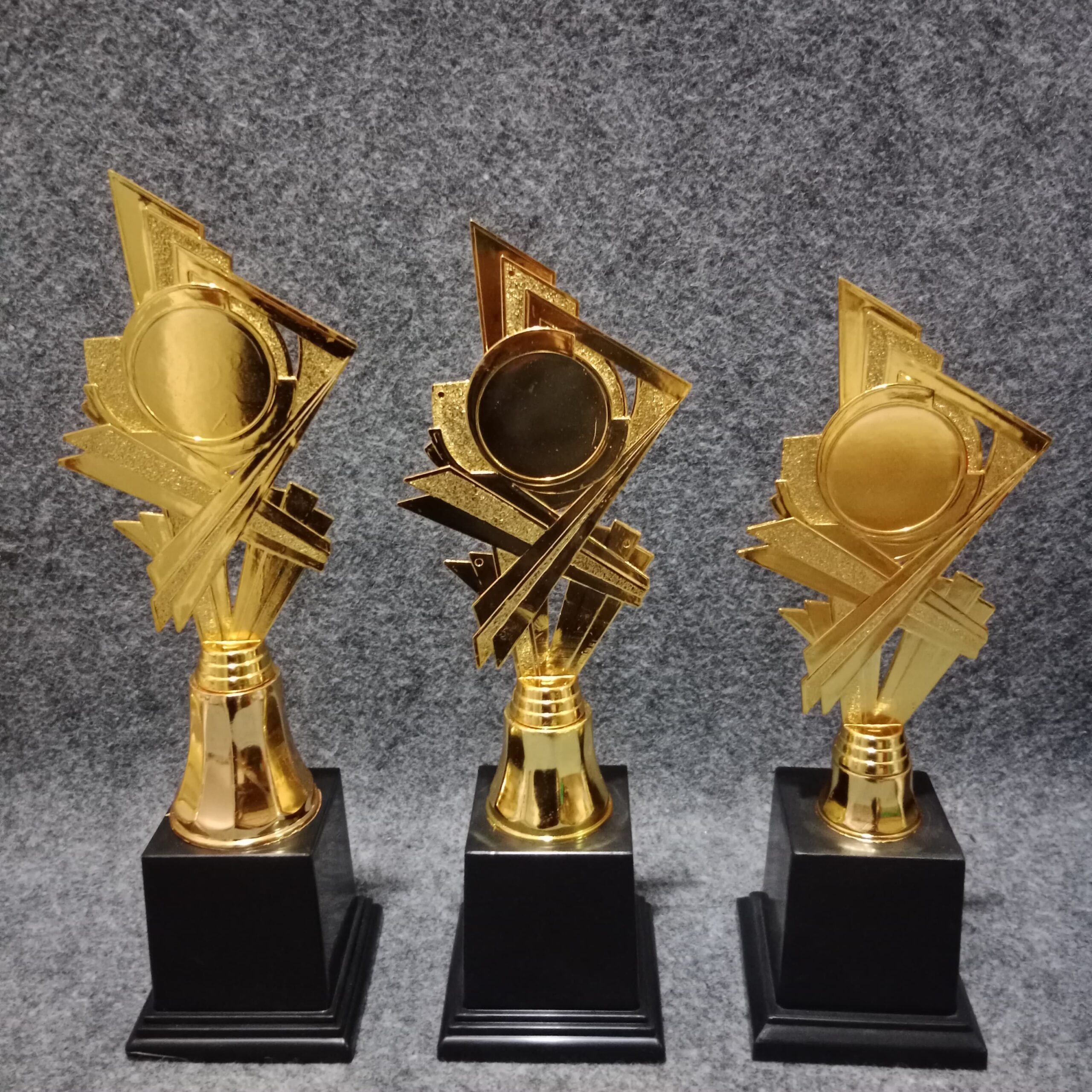 WhatsApp Image 2025-07-21 at 10.56.07 (1) MDGT13