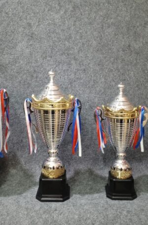 two tone silver list gold