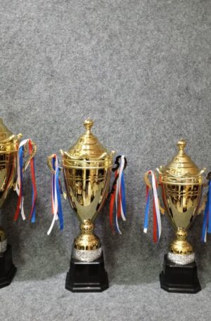 piala two tone gold list silver